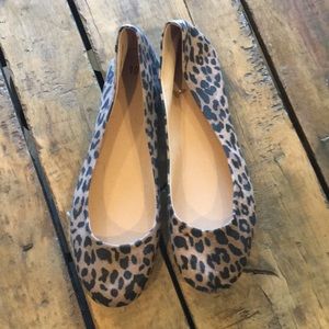 Cheetah flats